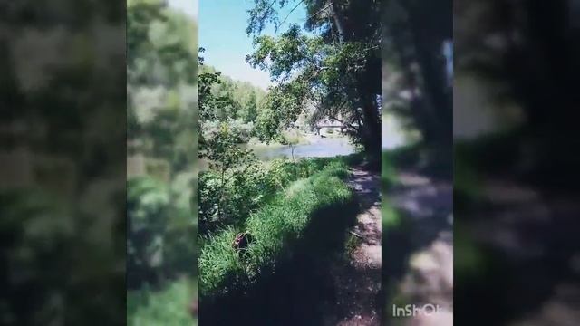 Река Сакмара. Прогулки. Весна!