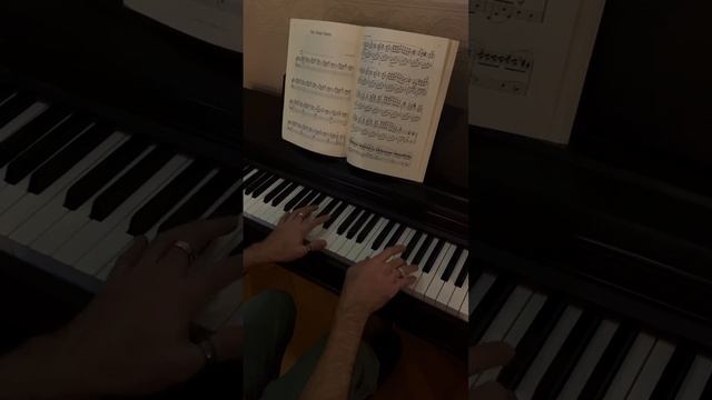 The Wind Forest theme from My Neighbour Totoro  pianocover composer totoro anime
