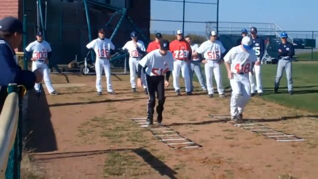 Nicholas Langley Agility Ladder 10/17/10 смотреть онлайн