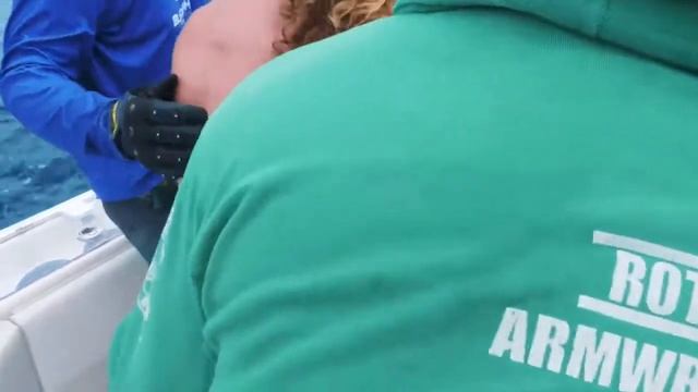 BigFish, Зверский клев! что бы в этом сезоне также клевало! смотреть онлайн