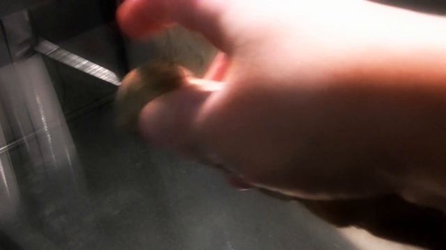 Обзор самодельной удочки. смотреть онлайн