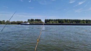 70 см угорь на бычка. Ловим угря на бычка. Рабалка на угря на реке Рейн. Видео с музыкой.