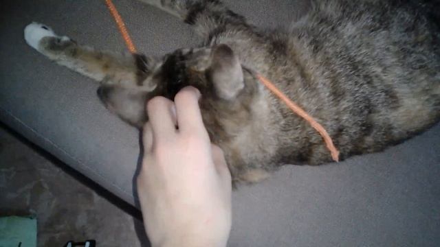 ВЕРЁВКА!!! Часть 2 смотреть онлайн