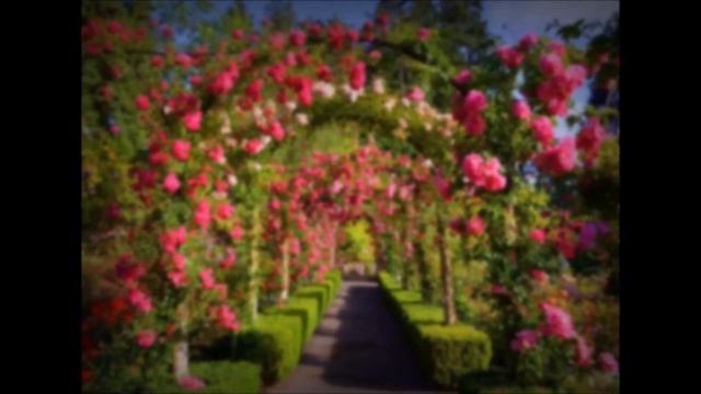 Экскурсия смотреть онлайн