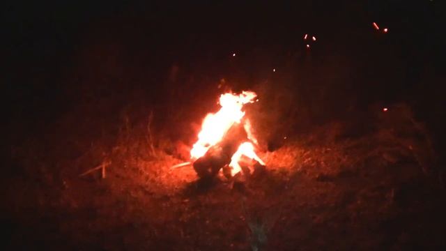 Ночная рыбалка с другом Юрой! смотреть онлайн