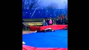 #Python #Удав #циркач #задушил циркача #Python strangled circus performer!!!