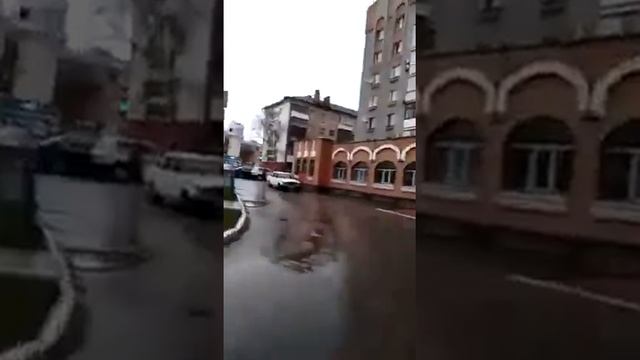 Капитан Пронин каждое слово шедевр  