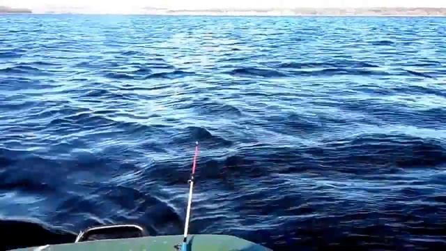 В ожидании поклёвок, с лодки смотреть онлайн