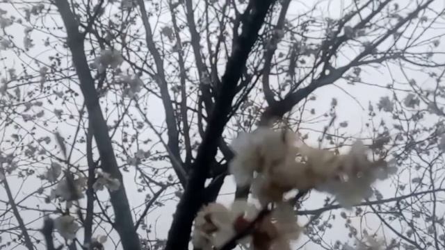 Мое питание в течении трёх дней 💕☕ | #питания смотреть онлайн