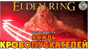 Elden Ring прохождение #61 I Река Эллак I Пещера у речного устья I Вождь кровопускателей