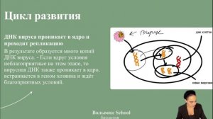 Вирусы | Биология ЕГЭ