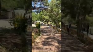 Поездка из  Краснодара в Турцию на машине