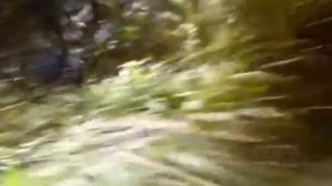 Остров . Сериал с Косяковым и Буруновым. 5 день на острове