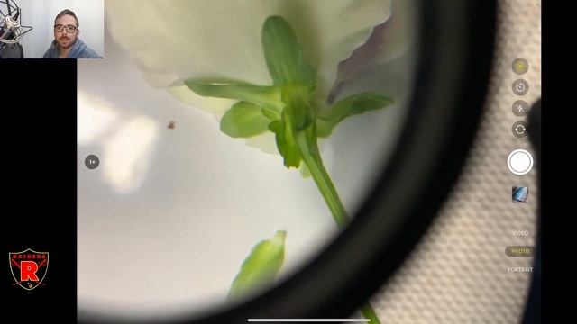 SBI3UI-05 Q4 2021 Day 17 Livestream смотреть онлайн