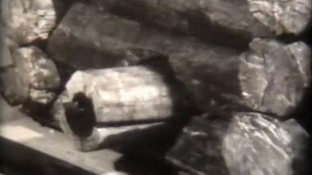 Учебная фильмотека. История. Древний Новгород