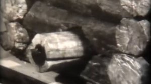 Учебная фильмотека. История. Древний Новгород