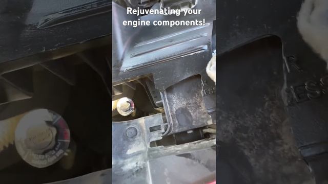 Cheap Engine Rejuvenation