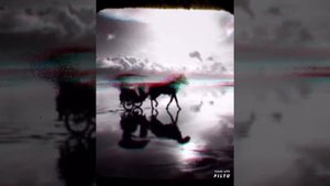 Ты меня на рассвете разбудишь