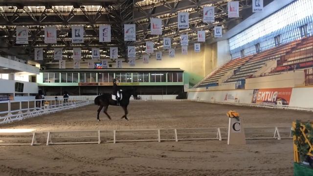 Открытый турнир КСК БИТЦА по выездке среди юношей и юниоров 29.03.2014г. смотреть онлайн