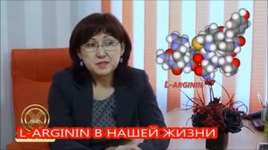 L - аргинин в нашей жизни.