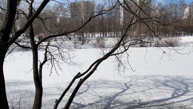 Бирюлёвские пруды у ЖК "Загорье", Царицыно , Москва