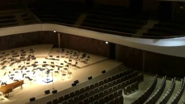 ПРОГУЛКА ПО КОНЦЕРТНОМУ ЗАЛУ ЗАРЯДЬЕ смотреть онлайн