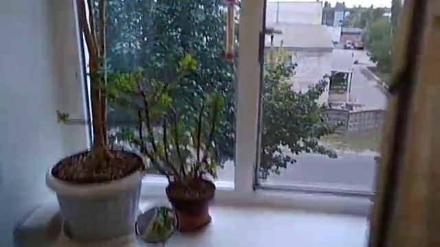 1кк на Водопое, ул. Казарского