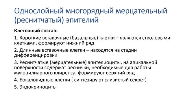 Урок 1.1 - Эпителиальные ткани. Поверхностные эпителии