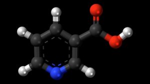 Витамин PP (никотиновая кислота): основные сведения