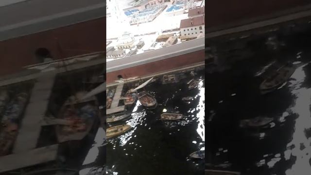 Музей Санкт-Петербург 19века смотреть онлайн