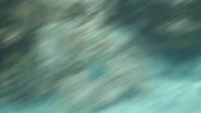СЕЙШЕЛЫ. ОКЕАН под водой