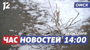 Снежный циклон / Брошенный автомобиль / Обокрал квартиру. Новости Омска