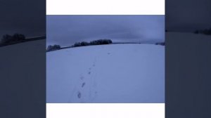 Ловля щуки на живца крюками.