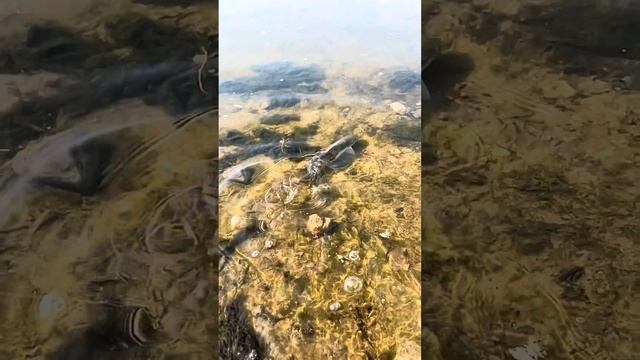 6 августа 2022 г. смотреть онлайн