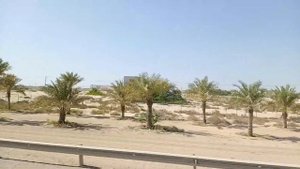 Поездка из Дубай в Абу-Даби