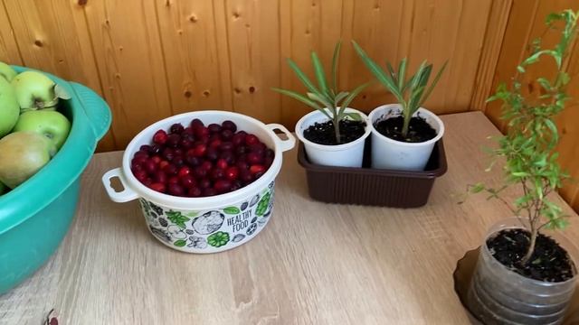 Подарки «Южного Дворика», 18.08.2022 смотреть онлайн