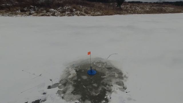 Заброшенный прудик, где много Голодной щуки. Первый лёд!!! смотреть онлайн