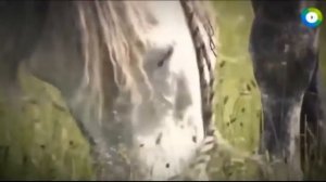 НЕВЕРОЯТНЫЕ ТЕХНОЛОГИИ ДРЕВНИХ ЦИВИЛИЗАЦИЙ! 09 10 2016 ЧТО С НИМИ СЛУЧИЛОСЬ И КУДА ОНИ ИСЧЕЗЛИ