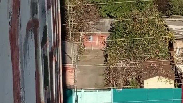 работа любимая работа смотреть онлайн