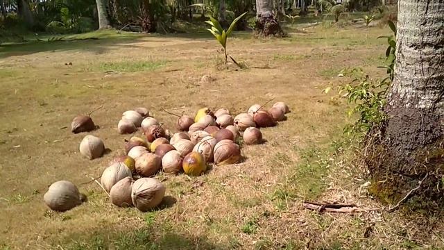 Koh Kood смотреть онлайн
