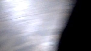 Палеонтологический музей в Москве