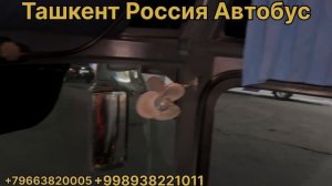 Ташкент Рассия Автобус