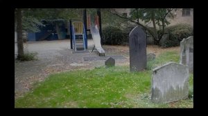 Аквариум   Горит пламя  не чадит