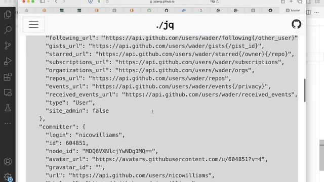 Семинар 5 Разница lvalue и rvalue, JSON, jq, httplib – М.А. Кривчиков (22.03.2024) смотреть онлайн