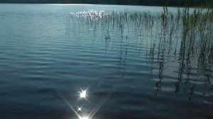 Изборск_Палкино_Локно_Веретья Гора