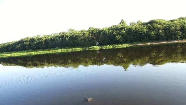 Вываживание леща. смотреть онлайн