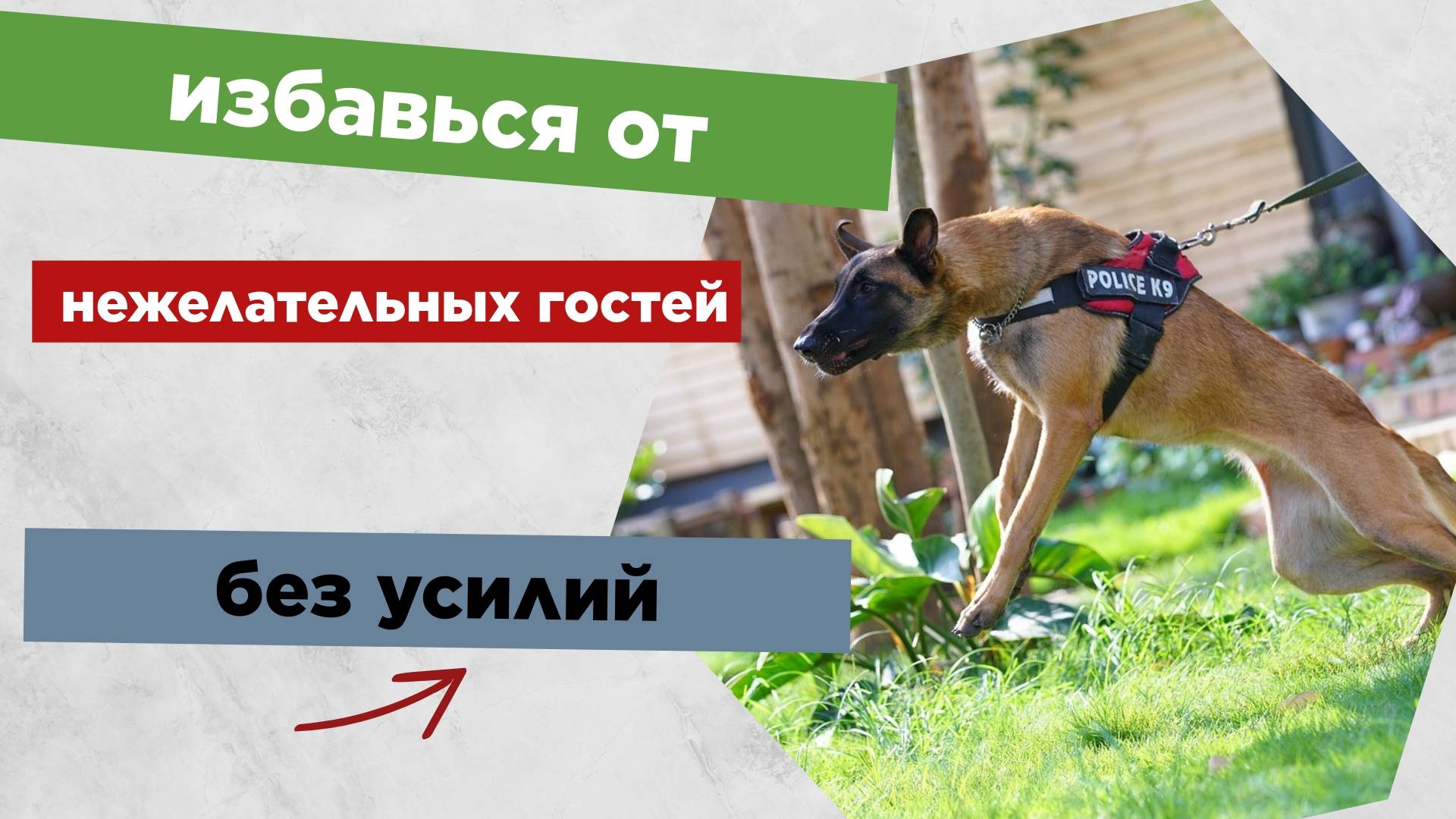 Как Прима Гард охраняет посуточников и экономит кучу времени