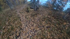 Поход на лодке Хатанга 475 и мотор Тохатцу 40.2022 год часть 4
