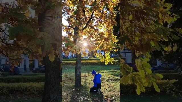 Прогулка в центре Петрозаводска. Музей промышленности. Выставка кондопожских художниц. смотреть онлайн