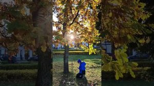 Прогулка в центре Петрозаводска. Музей промышленности. Выставка кондопожских художниц.